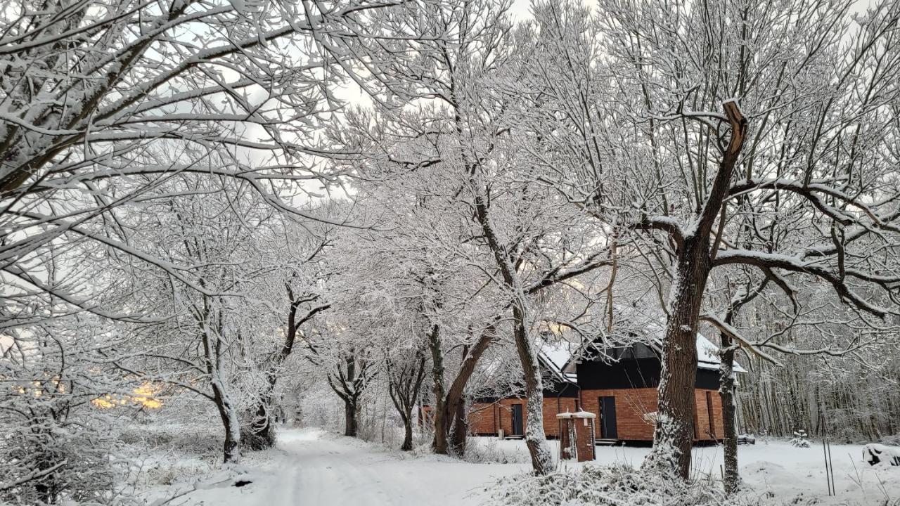 Czas Na Las Zarnowska Exterior foto